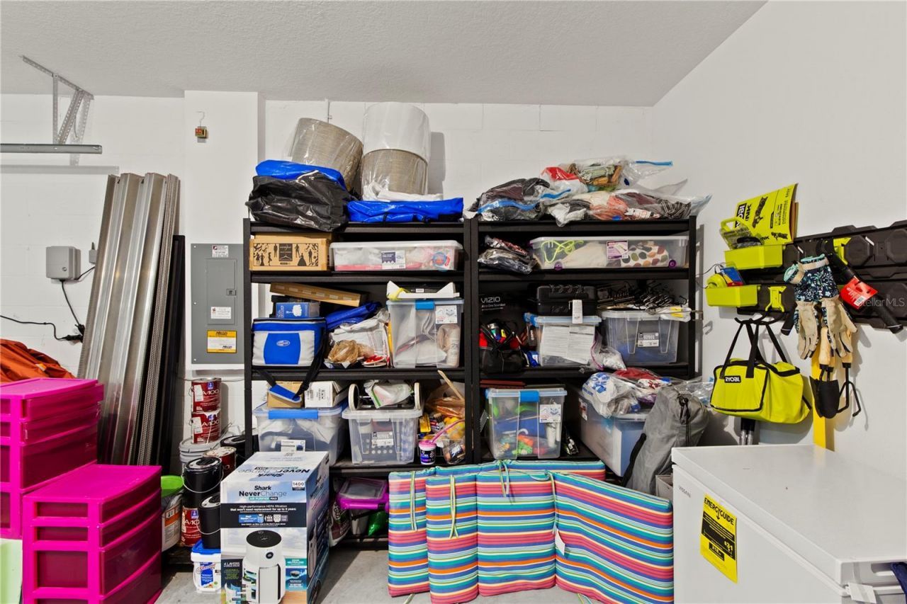 6250 Wandering Willow Drive, Wesley Chapel, FL 33545 Photo