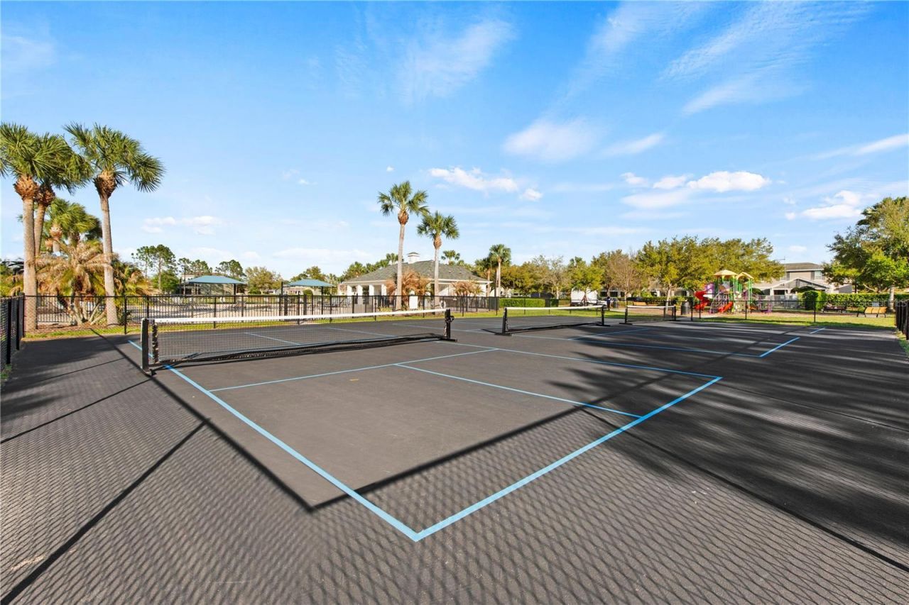 6250 Wandering Willow Drive, Wesley Chapel, FL 33545 Photo
