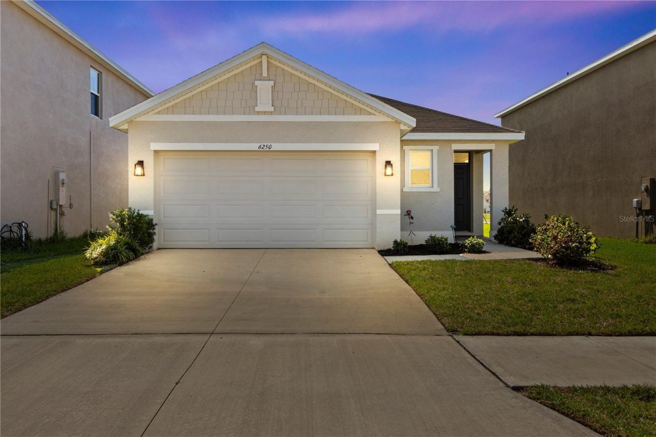 6250 Wandering Willow Drive, Wesley Chapel, FL 33545 Photo