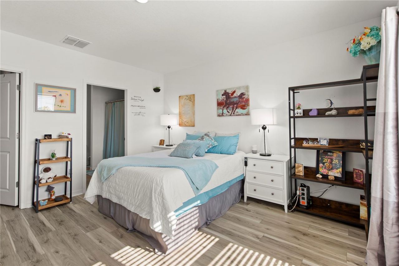 6250 Wandering Willow Drive, Wesley Chapel, FL 33545 Photo