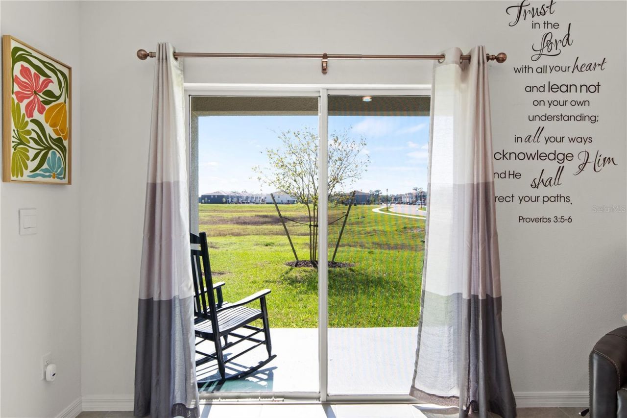6250 Wandering Willow Drive, Wesley Chapel, FL 33545 Photo
