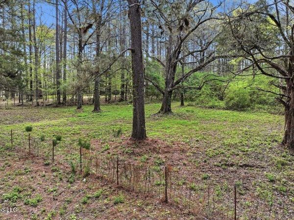 0 Harrisville Braxton Road, Braxton, MS 39044