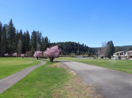 27 Aspen Circle, Blairsden, CA 00000 Photo