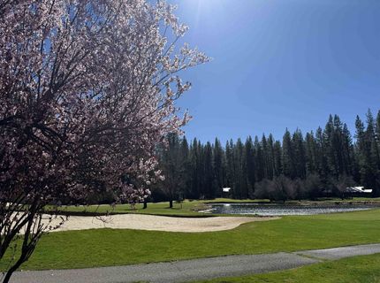 27 Aspen Circle, Blairsden, CA 00000 Photo