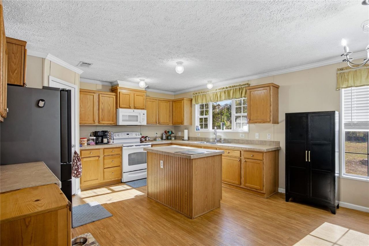 16564 NW 85th Terrace , Fanning Springs, FL 32693 Photo