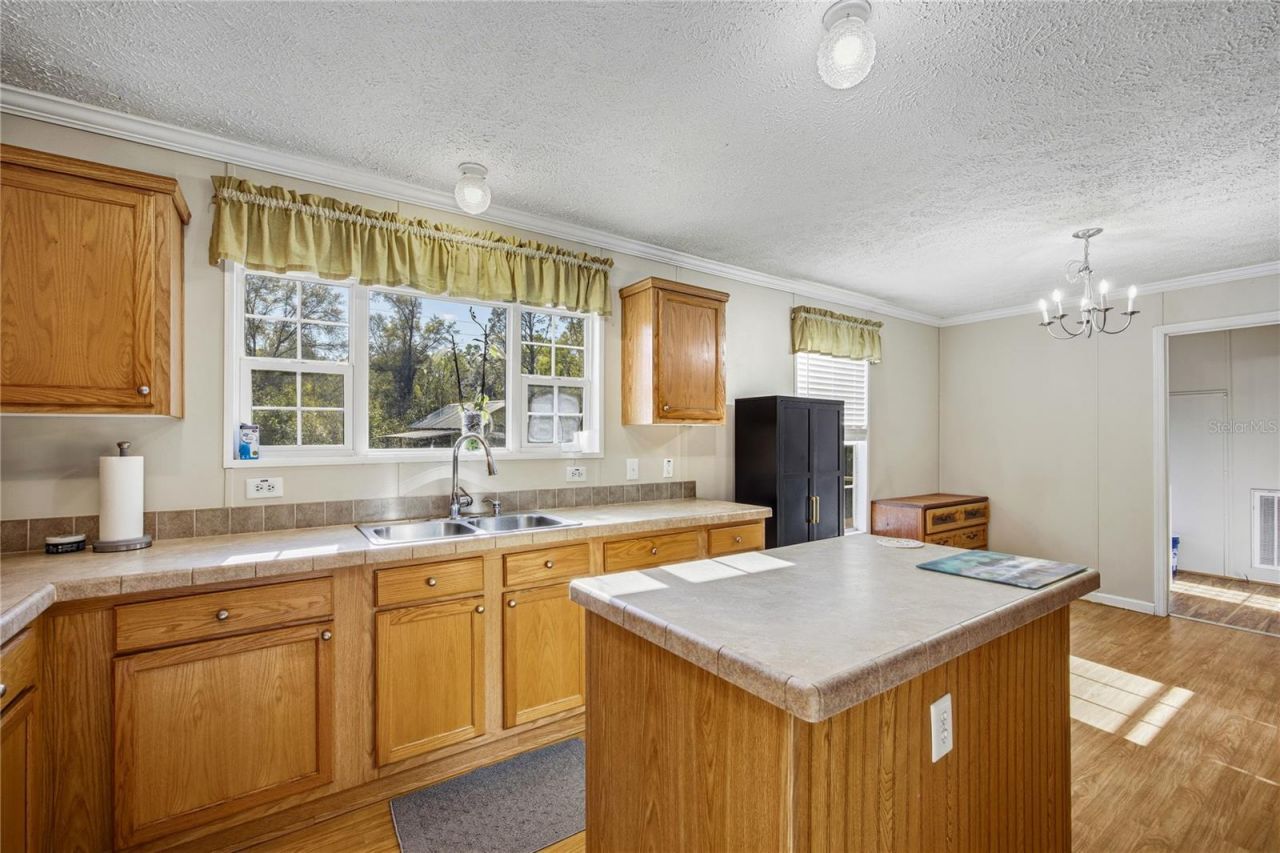 16564 NW 85th Terrace , Fanning Springs, FL 32693 Photo