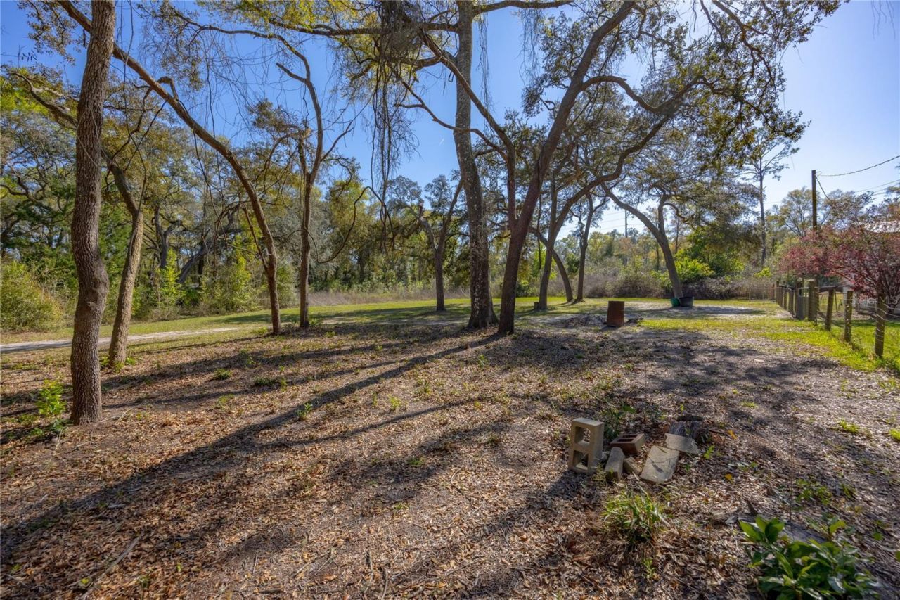 16564 NW 85th Terrace , Fanning Springs, FL 32693 Photo