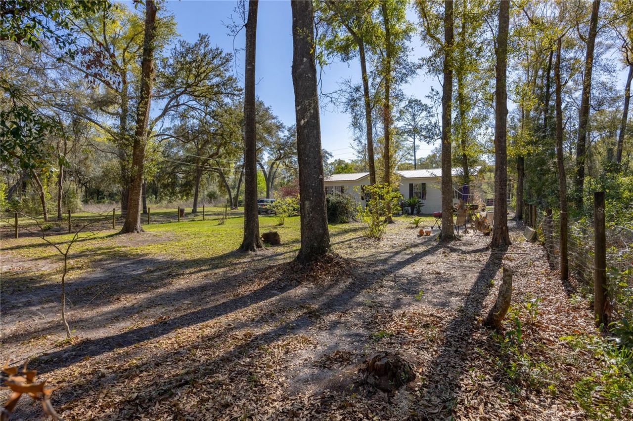 16564 NW 85th Terrace , Fanning Springs, FL 32693 Photo