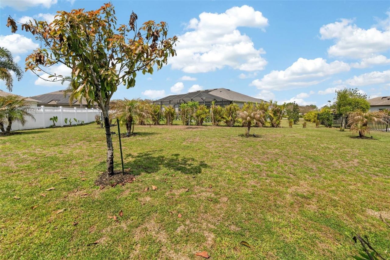 3615 Gaviota Drive, Sun City Center, FL 33573 Photo