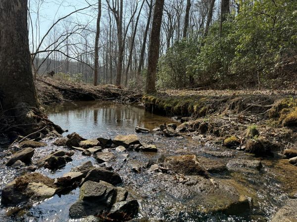 1065 Deerhead Road , Dunlap, TN 37327