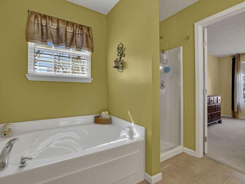 101 Longwood Crossing Boulevard, Etna, OH 43062 Photo 43