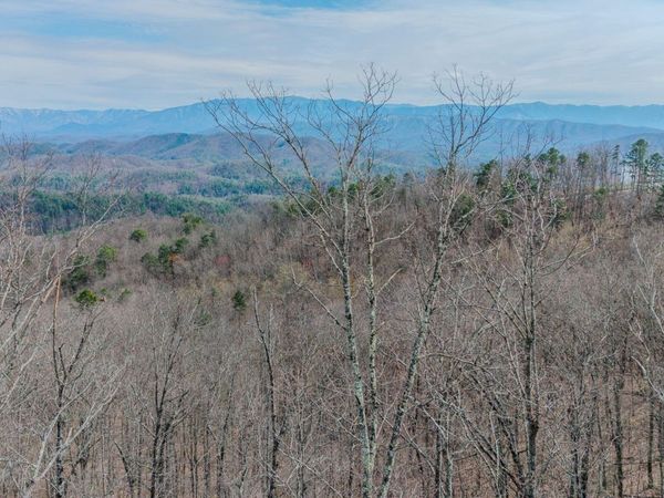 Lot Tr-1 Shell Mountain Rd, Sevierville, TN 37876