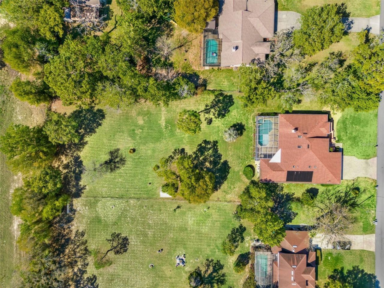 4071 Black Oak Trail , Brooksville, FL 34604 Photo