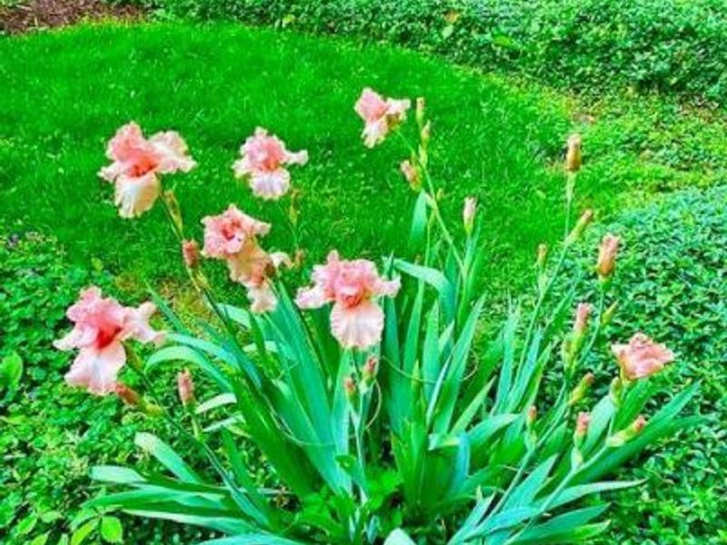 2361 Wilmington Road, Turtle Creek Twp, OH 45036 Photo 54