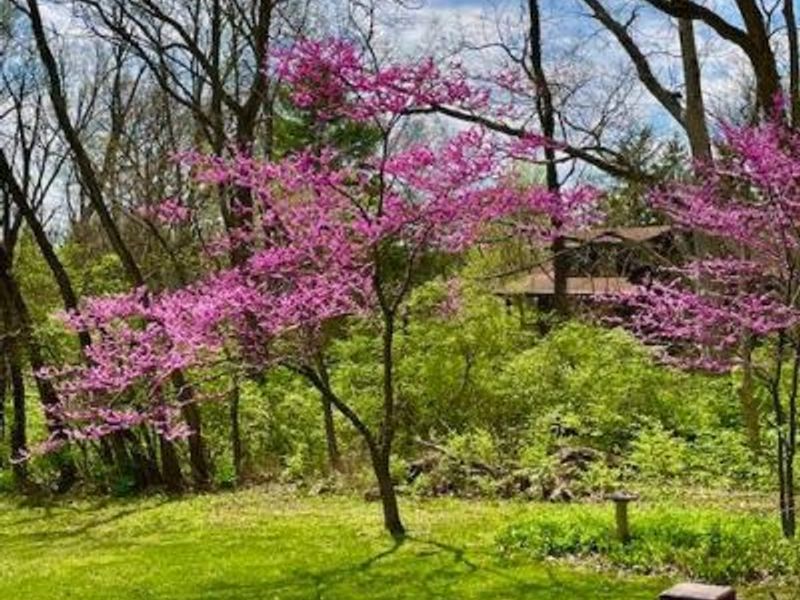 2361 Wilmington Road, Turtle Creek Twp, OH 45036 Photo 55