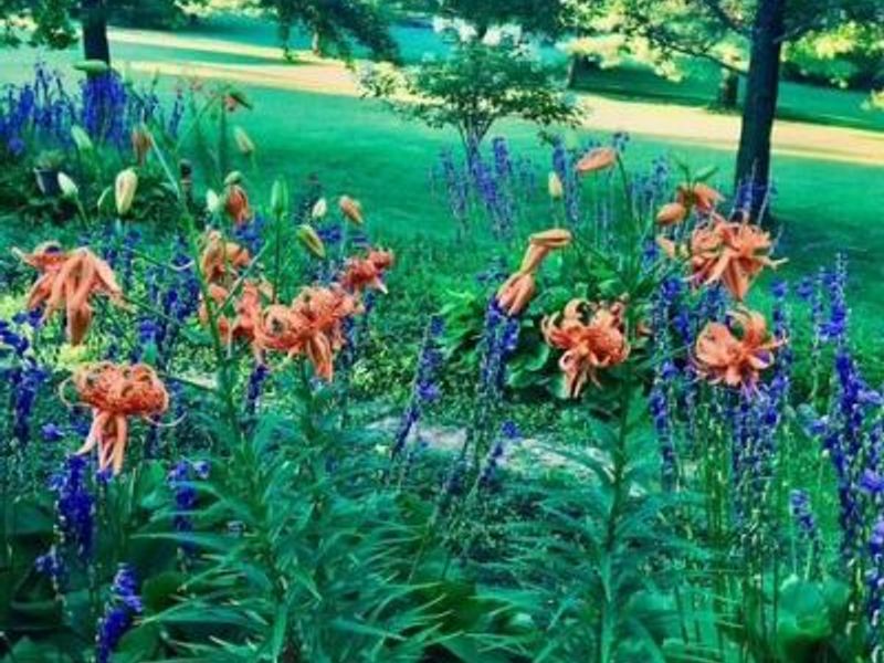 2361 Wilmington Road, Turtle Creek Twp, OH 45036 Photo 56