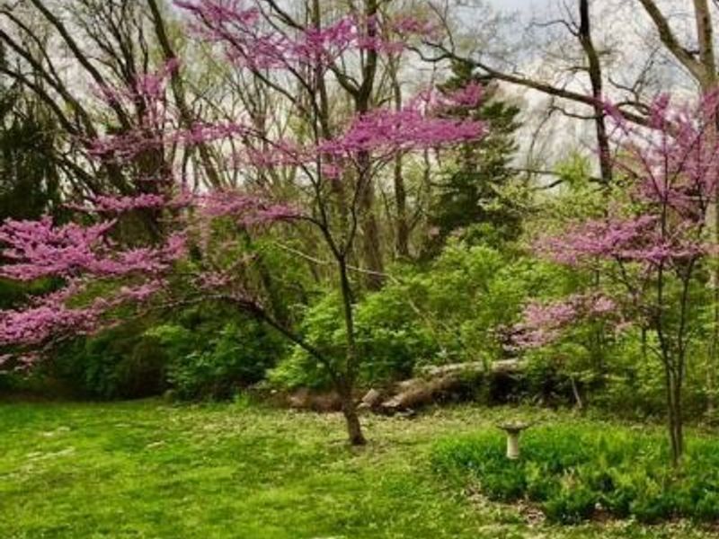 2361 Wilmington Road, Turtle Creek Twp, OH 45036 Photo 58