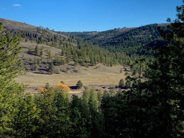 Lot 2 Scenic Short Plat Dr, Davenport, WA 99122