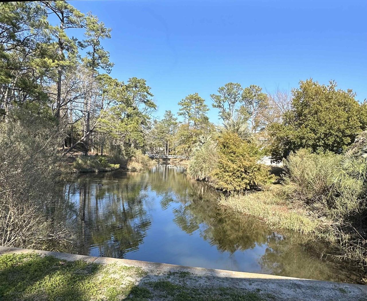 613 5th Ave. S  Photo 32