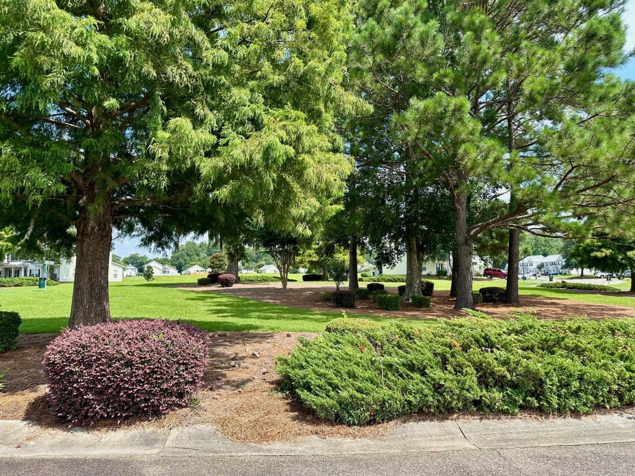 230 Congaree River Drive Photo 38