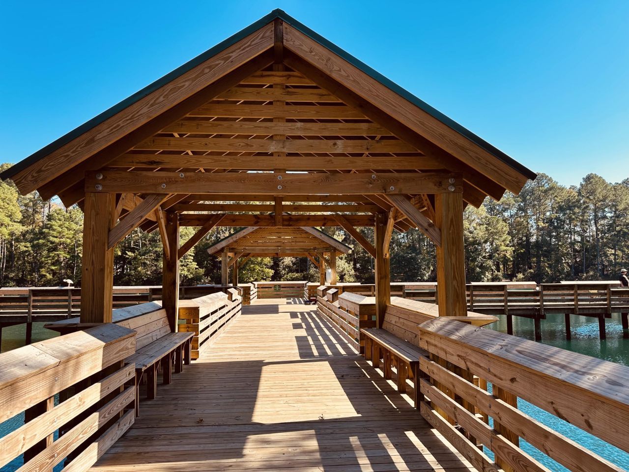 230 Congaree River Drive Photo 42