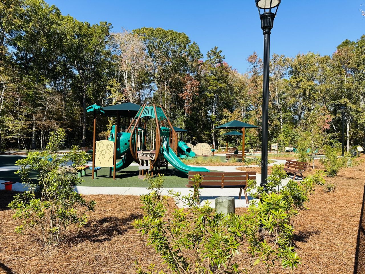 230 Congaree River Drive Photo 44