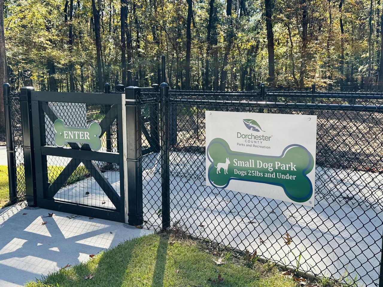 230 Congaree River Drive Photo 45