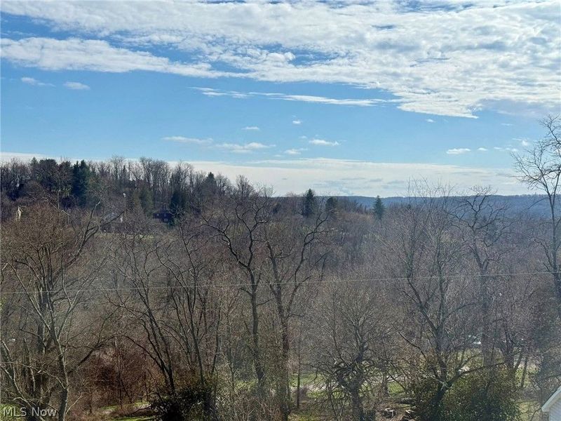 305 Gardendale Street, East Liverpool, OH 43920 Photo 30