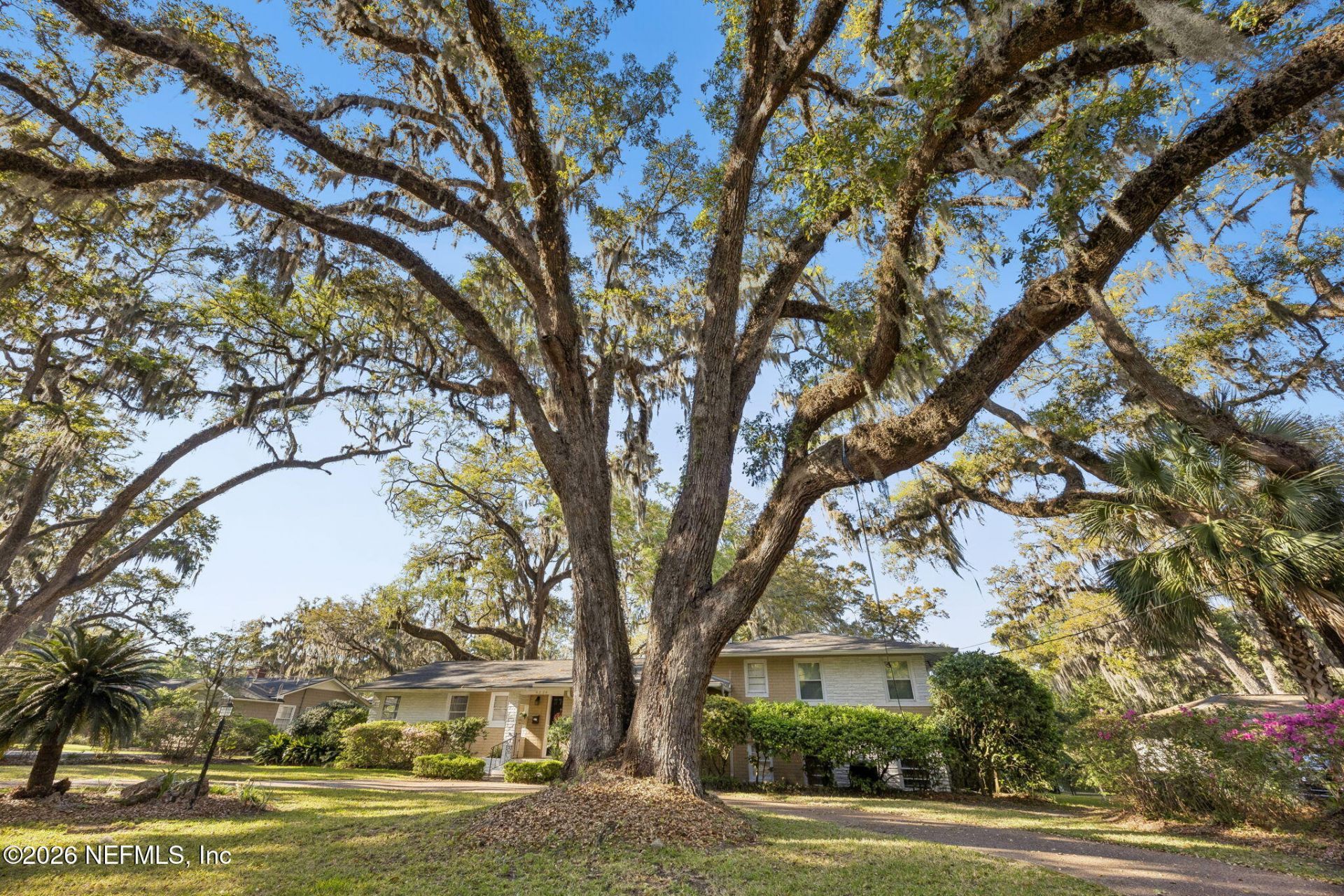 4226 Forest Park Road, Jacksonville, FL 32210 Photo