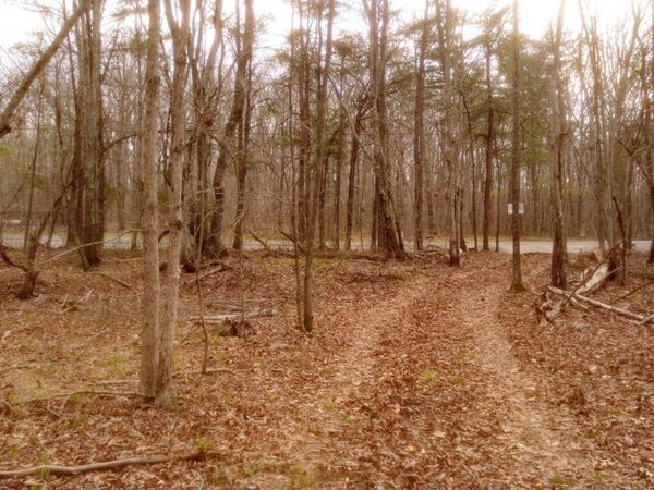 1188 Timberwood Trce , Monteagle, TN 37356