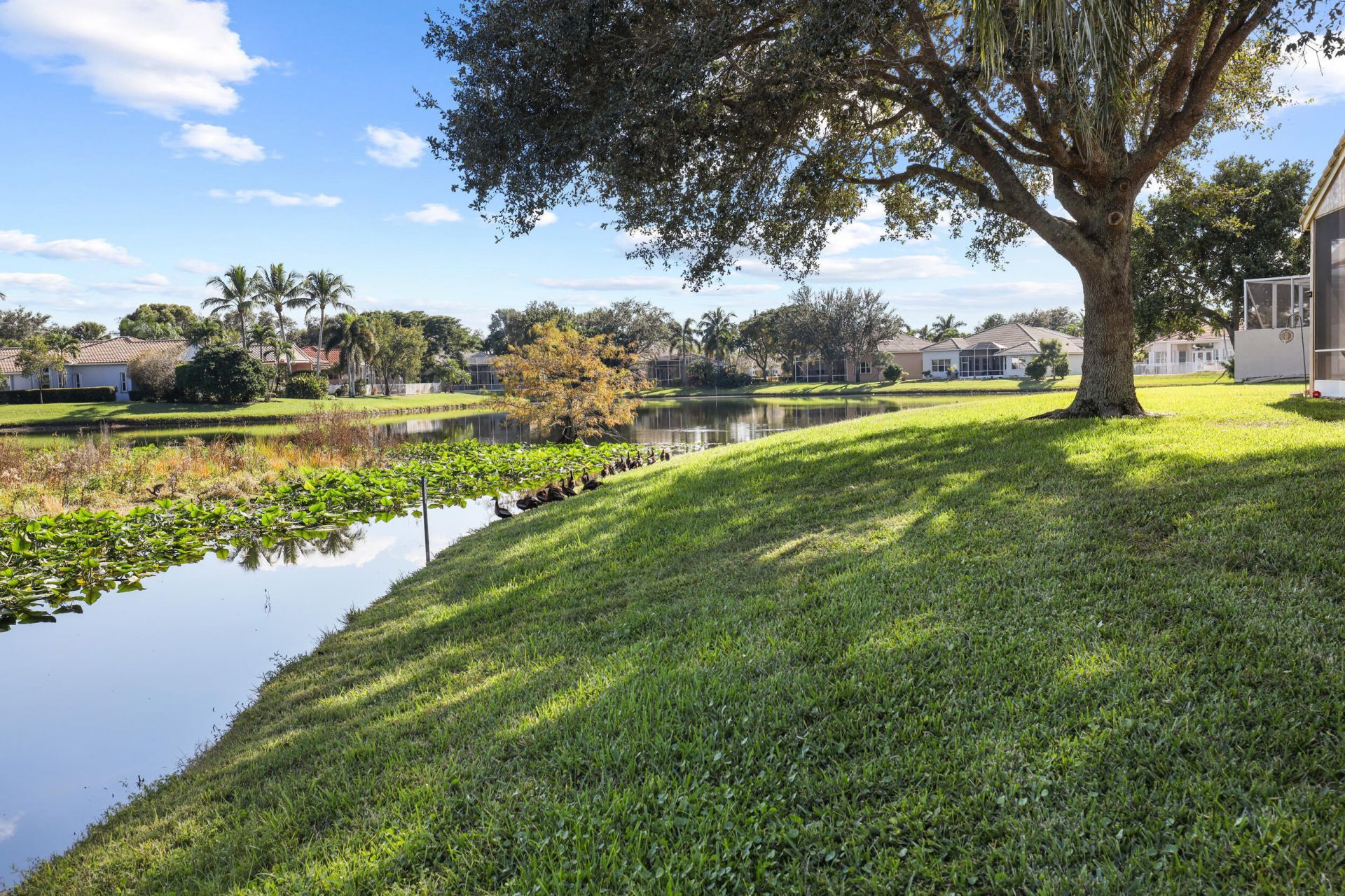 6657 Pavone Street, Lake Worth, FL 33467 Photo