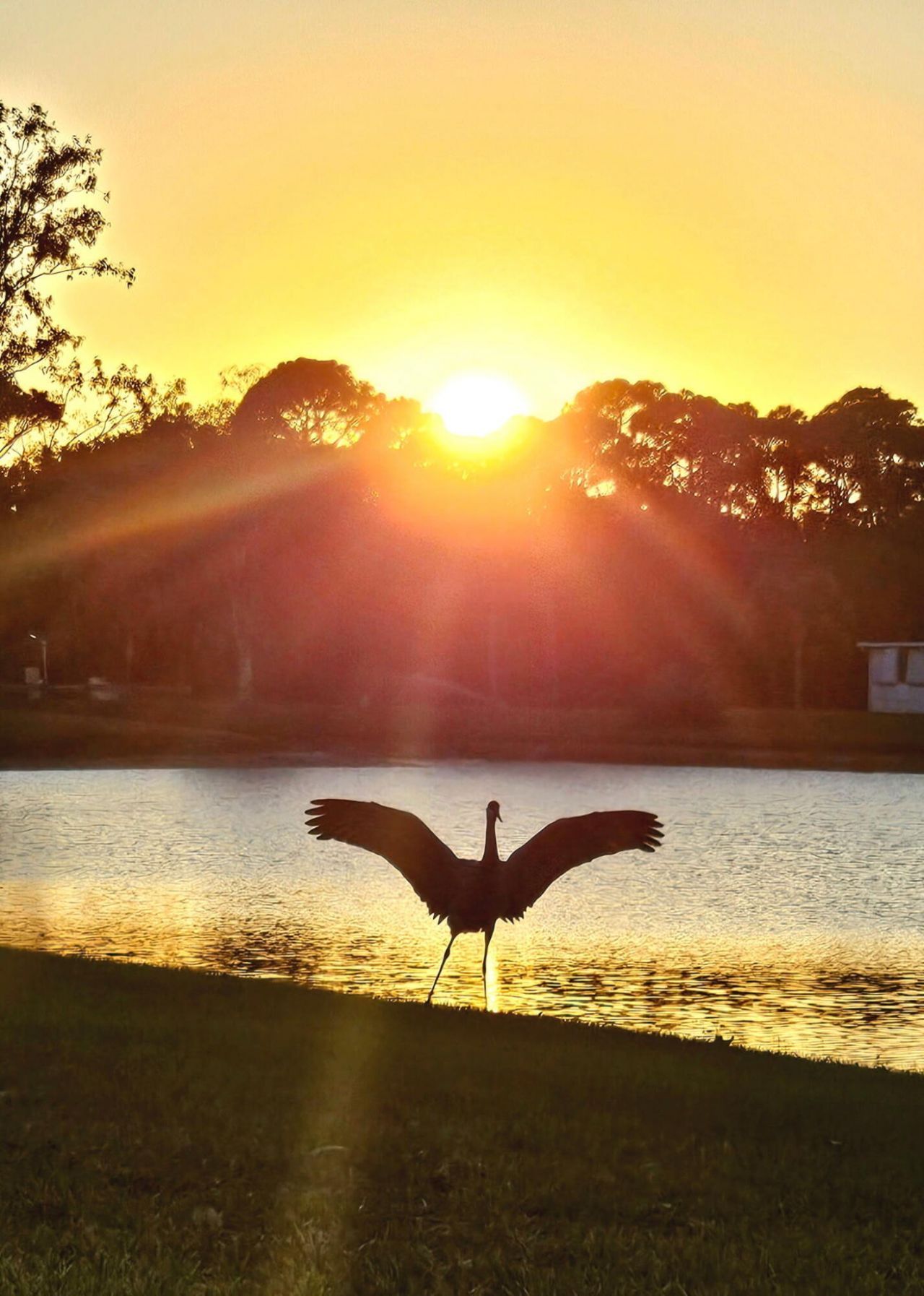 11 Tortuga, Port Saint Lucie, FL 34952 Photo