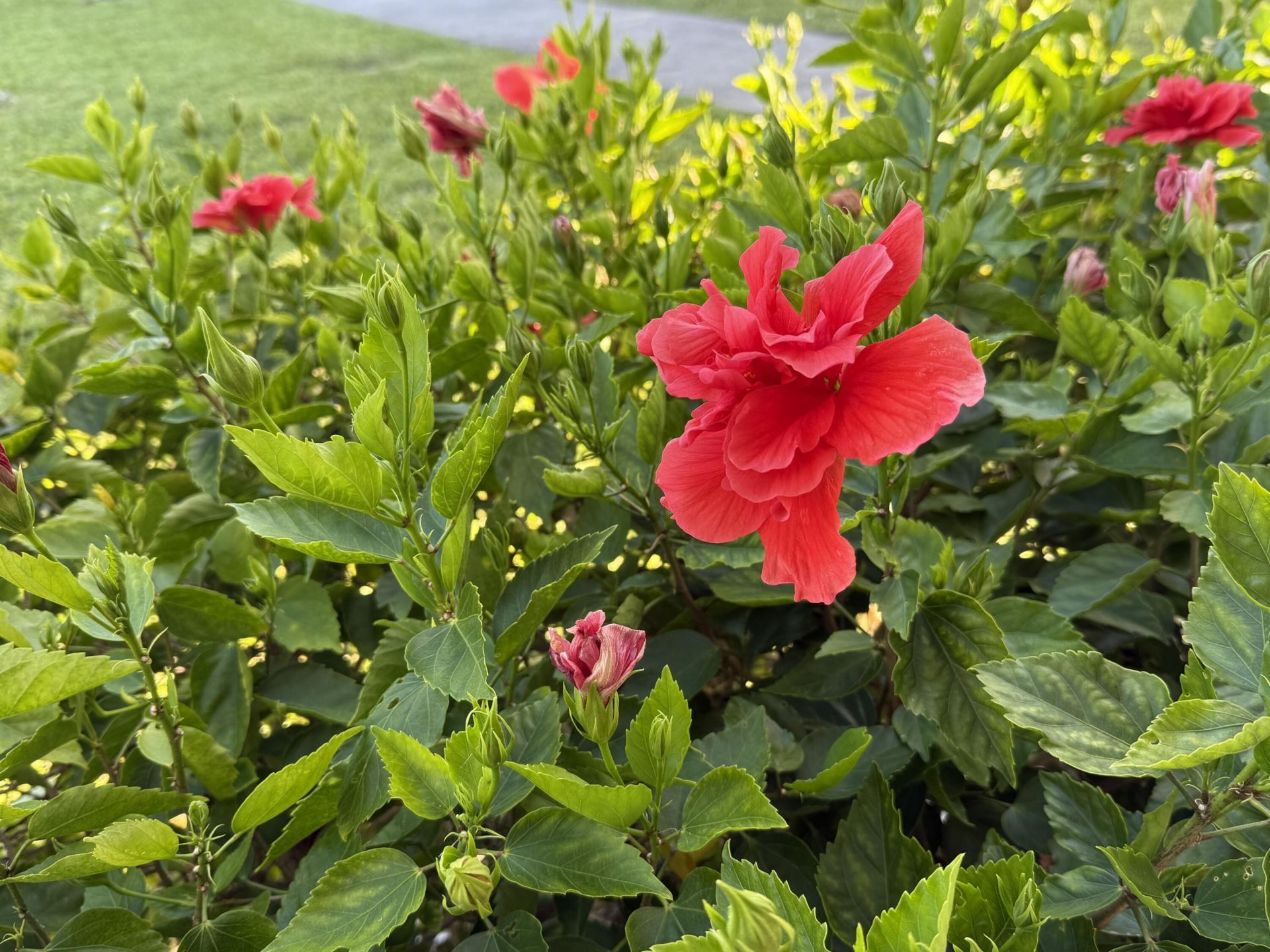 81 Camden Drive, Unit D, West Palm Beach, FL 33417 Photo