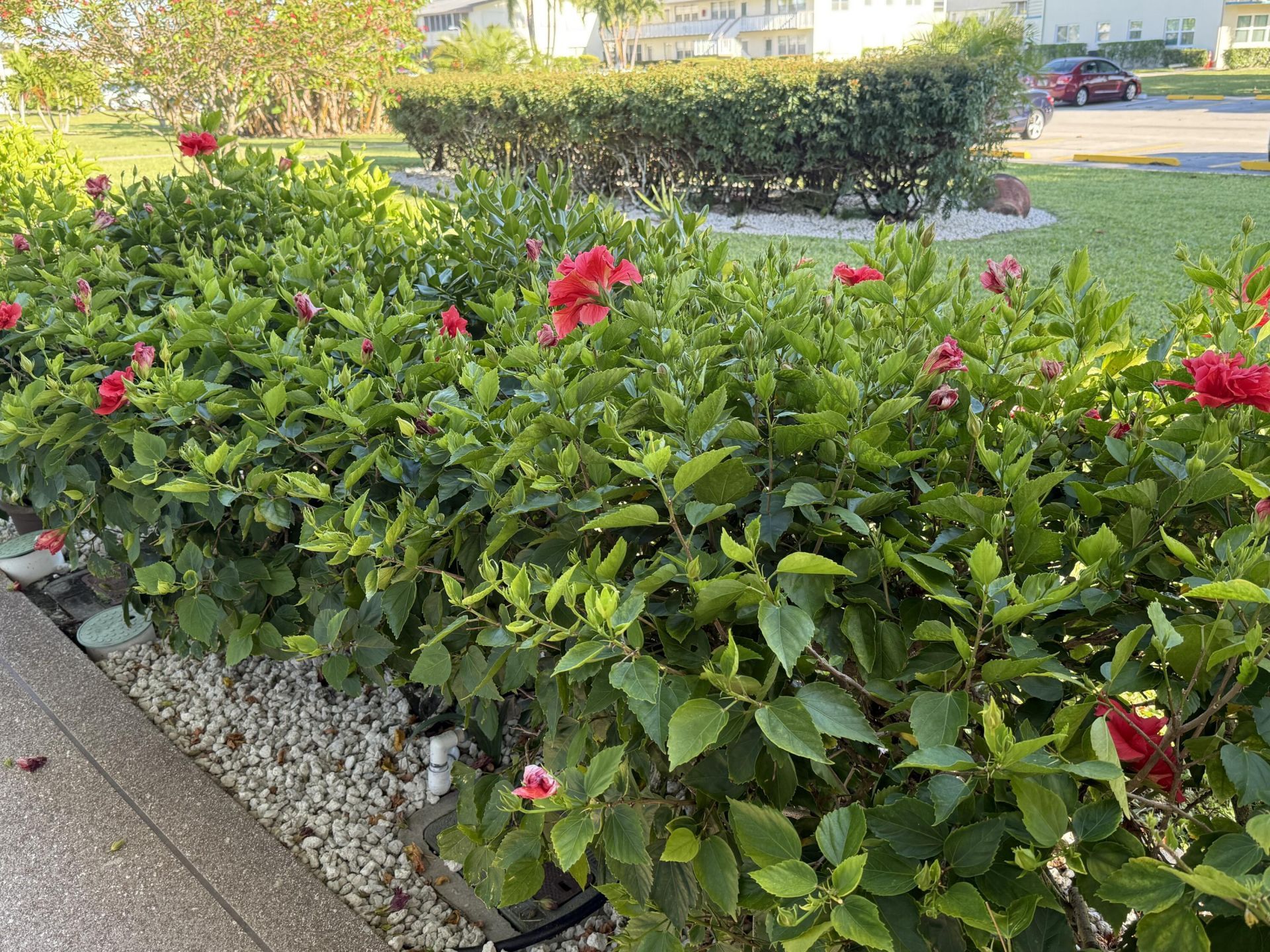 81 Camden Drive, Unit D, West Palm Beach, FL 33417 Photo