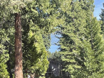 831 Timber Ridge Road, Lake Almanor, CA 96137 Photo