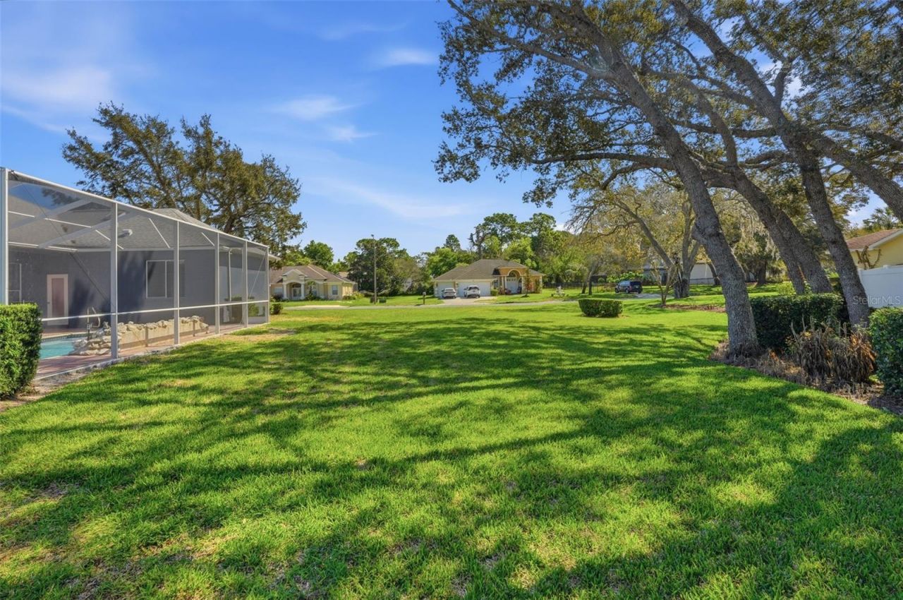 18729 Bascomb Lane, Hudson, FL 34667 Photo