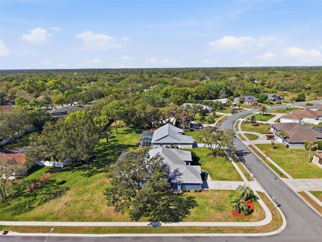 18729 Bascomb Lane, Hudson, FL 34667 Photo