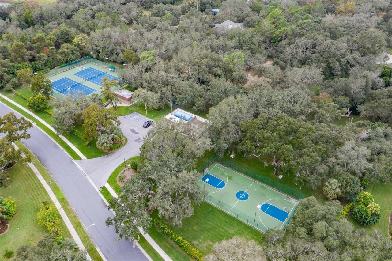 18729 Bascomb Lane, Hudson, FL 34667 Photo