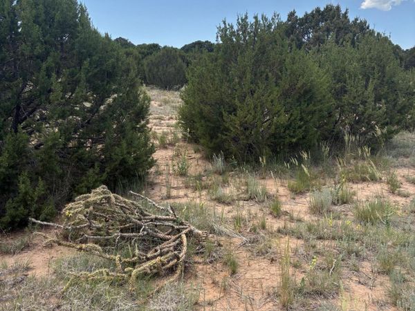 Wilson Ranch Lot#8, Tajique, NM 87016
