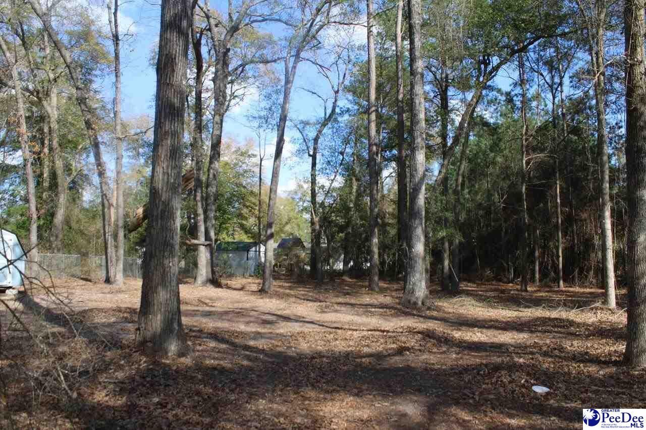 3086 Cobblestone St. Photo 6