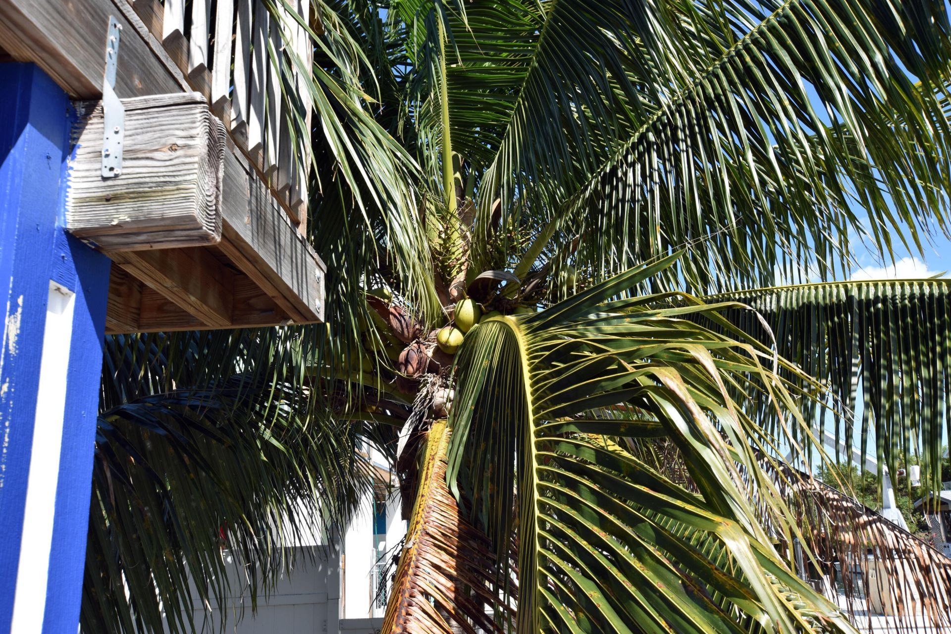 22920 Privateer Drive, Cudjoe Key, FL 33042 Photo