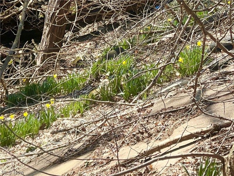 8595 Salem Unity Road, Salem, OH 44460 Photo 38