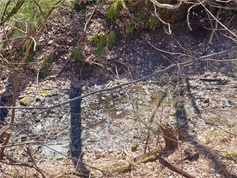 8595 Salem Unity Road, Salem, OH 44460 Photo 39