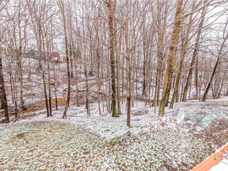 3260 Forest Overlook Drive, Seven Hills, OH 44131 Photo 37