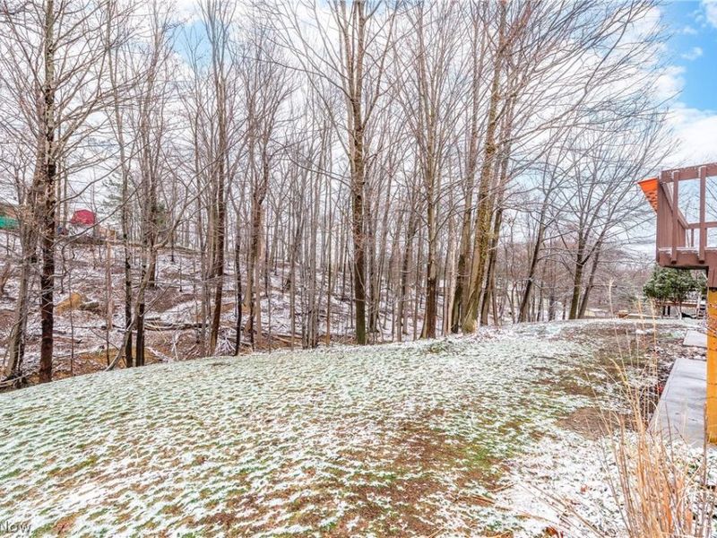 3260 Forest Overlook Drive, Seven Hills, OH 44131 Photo 39