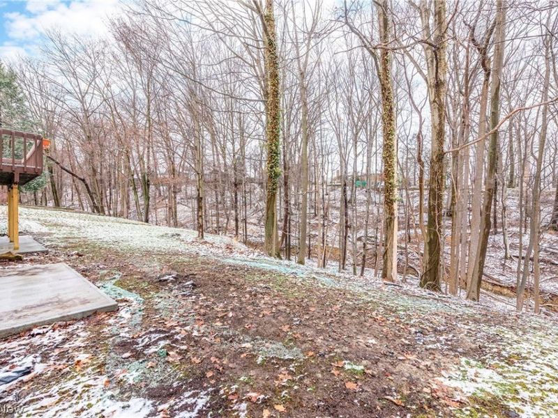 3260 Forest Overlook Drive, Seven Hills, OH 44131 Photo 41