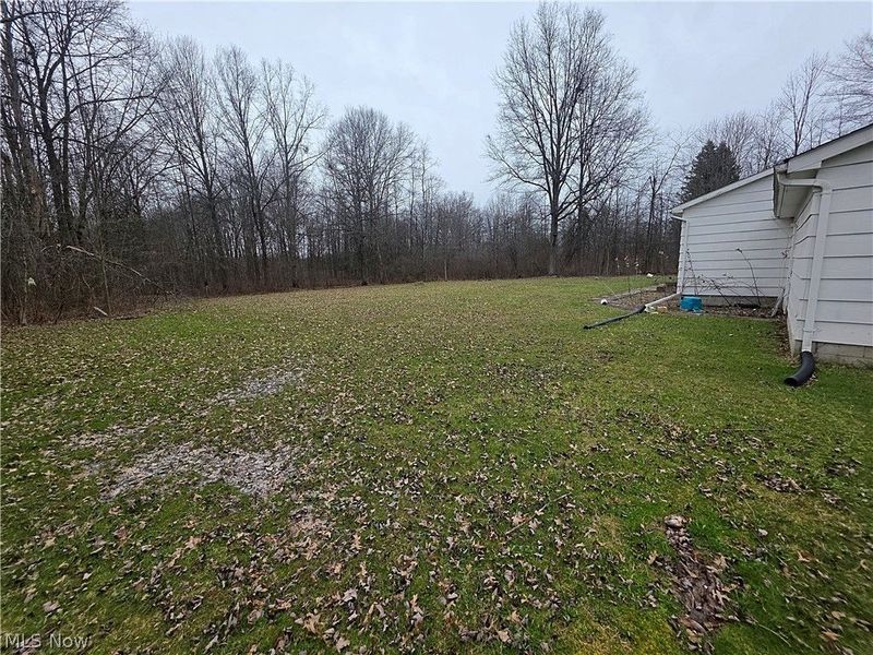 6777 Mahoning Avenue NW, Warren, OH 44481 Photo 5