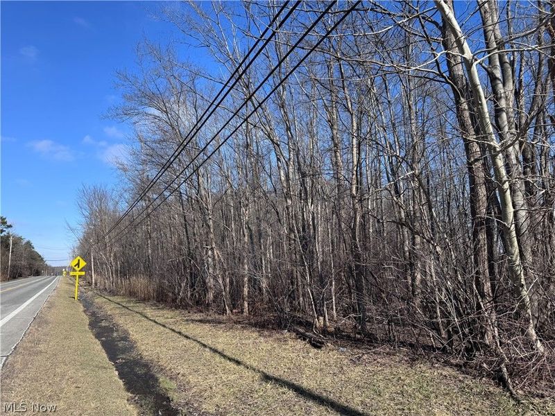 V/L 3 Painesville Warren Rd., Leroy, OH 44077 Photo 10