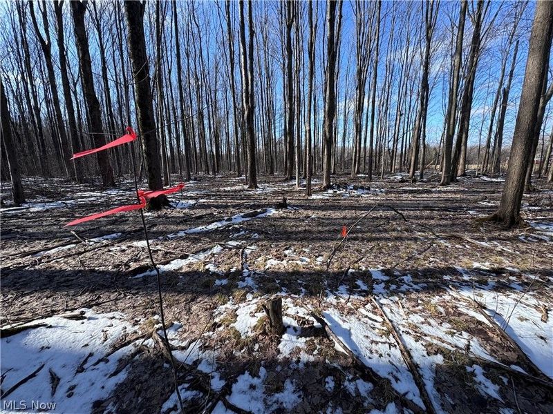 V/L 3 Painesville Warren Rd., Leroy, OH 44077 Photo 13