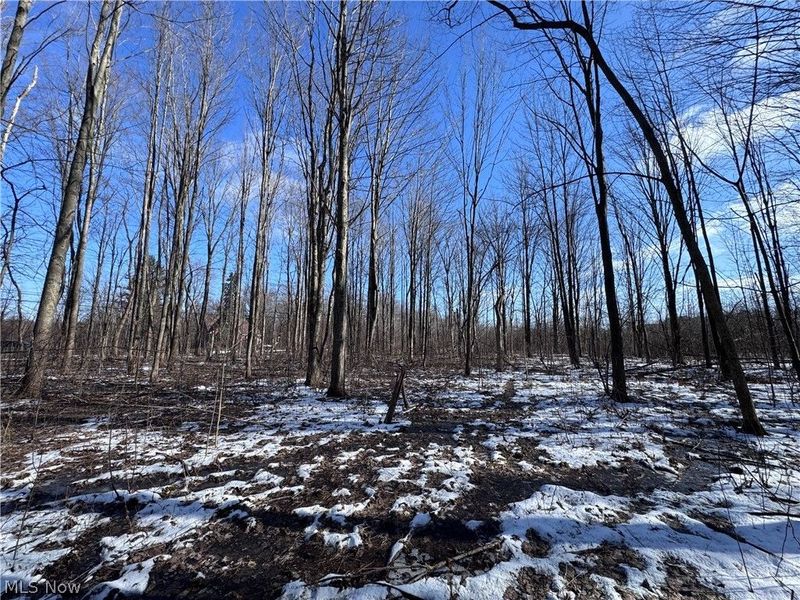 V/L 3 Painesville Warren Rd., Leroy, OH 44077 Photo 15